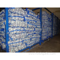 Fresh Normal White Garlic Crop 2019 Size 5.0